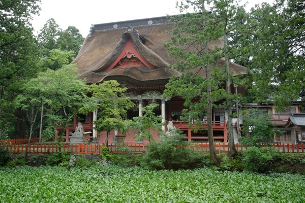 【古川・仙台発】 旅のすごろく市8月 涼を感じる日本一の噴水とクラゲ水族館(日帰り)3